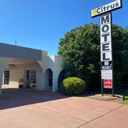 Citrus Motel Griffith Buitenkant foto